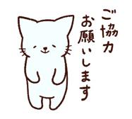 リフレッシュ12